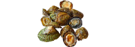 llamparas